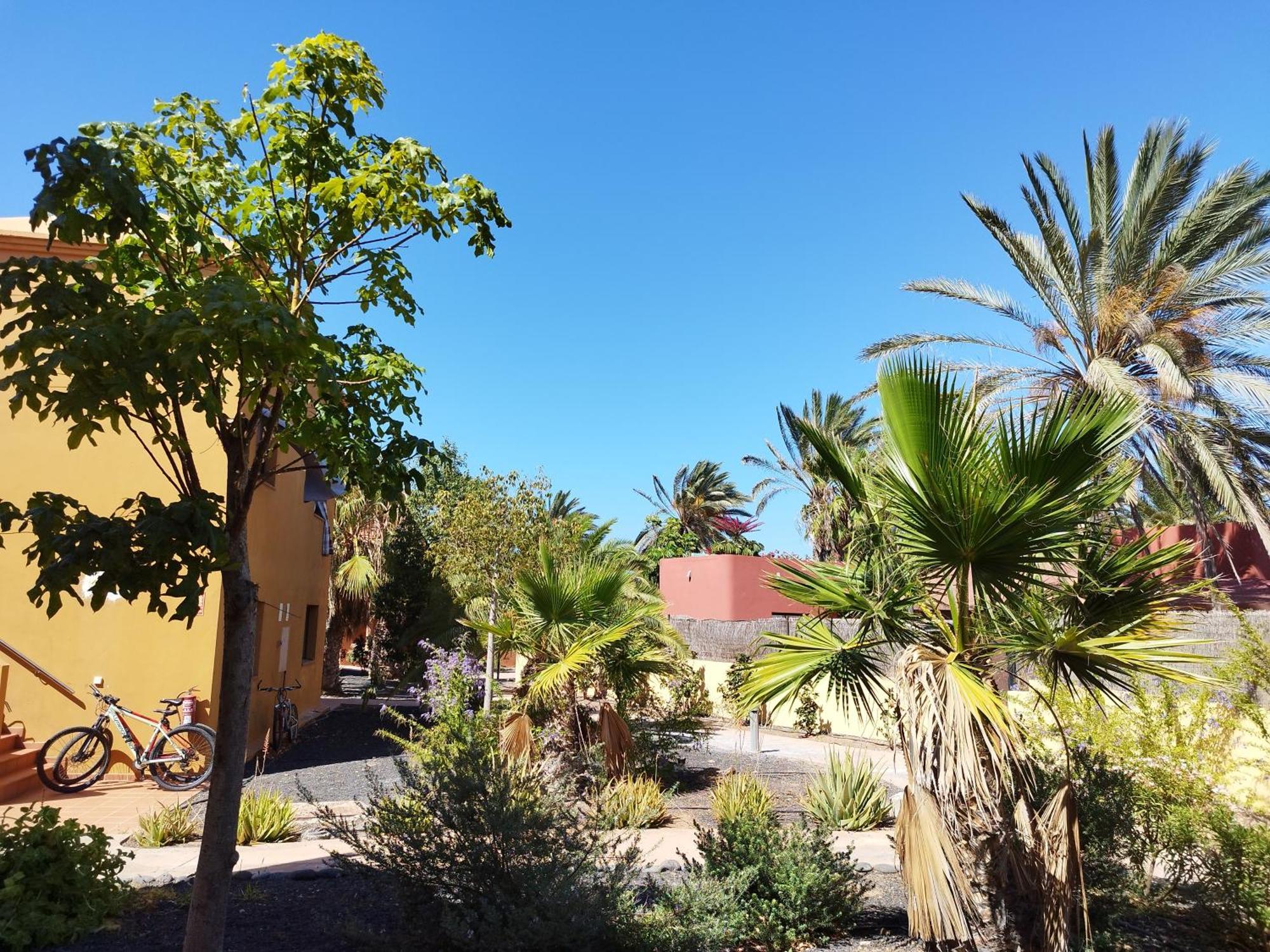Cozy Apartment In Tamarindo 2 Corralejo Exterior photo